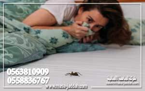 مكافحة الحشرات المنزلية