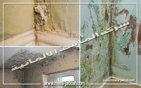 صورة توضح التأثير السيئ لتسرب المياه علي جدران المنزل